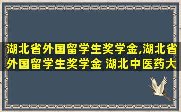 湖北省外国留学生奖学金,湖北省外国留学生奖学金 湖北中医药大学